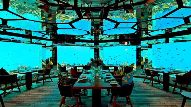 Có gì bên trong khách sạn 5 sao dưới đáy biển đắt đỏ nhất thế giới năm 2021? - Ảnh 2.