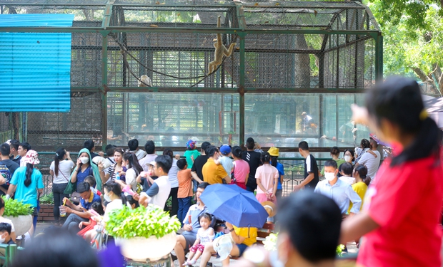 Hà Nội: Công viên Thủ Lệ đông nghịt ngày 2/9, người lớn trẻ nhỏ chen nhau đội nắng tham quan - Ảnh 14.