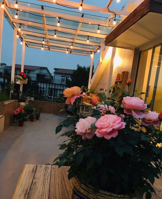 Chỉ mất 8 tháng, cô gái 9x tự mình thiết kế “khu vườn trên cao” rộng 33m² ngập tràn sắc hoa - Ảnh 8. Chỉ mất 8 tháng, cô gái 9x tự mình thiết kế “khu vườn trên cao” rộng 33m² ngập tràn sắc hoa - Ảnh 8.