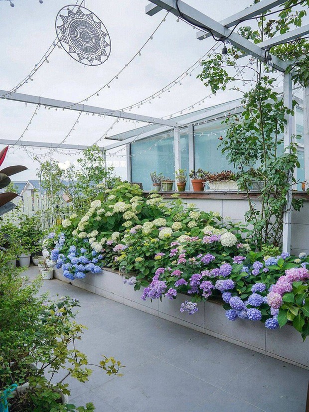 Chỉ mất 8 tháng, cô gái 9x tự mình thiết kế “khu vườn trên cao” rộng 33m² ngập tràn sắc hoa - Ảnh 1.