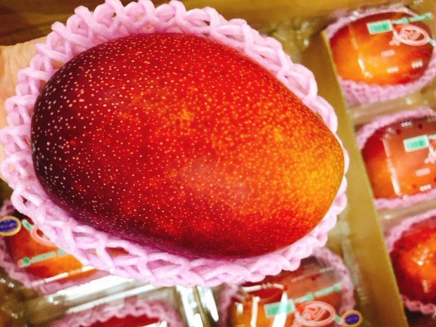 10 kinds of fruits from Japan are the most expensive in the world, with prices up to tens of thousands of dollars - Photo 8.