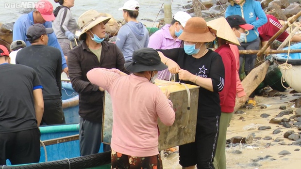 Phú Yên ban hành lệnh cấm biển, ngư dân nuôi tôm hùm khẩn trương chạy bão - Ảnh 3.