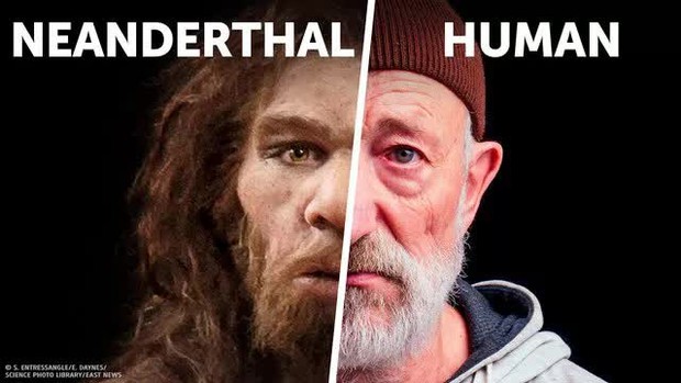 Tại sao người Neanderthal lại thất bại trong cuộc chiến sinh tồn? - Ảnh 3.