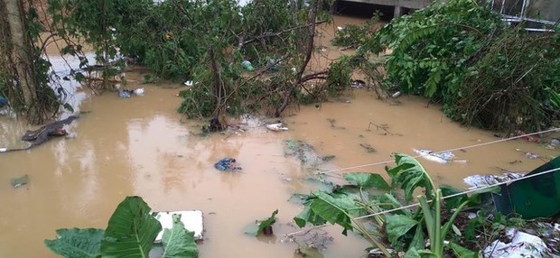 Hình ảnh nhà dân ở vùng núi Quảng Nam bị ngập sâu, đường sá chia cắt sau bão Noru - Ảnh 9.