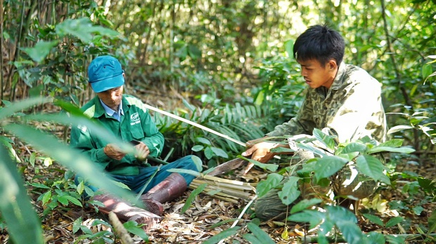 Tại sao nhiều người trẻ bỏ việc lương hàng chục triệu ở thành phố để về rừng sống? - Ảnh 8.