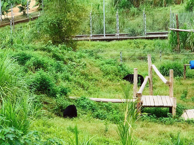 Khám phá địa điểm du lịch thú vị dành cho người yêu thiên nhiên và động vật hoang dã tại Ninh Bình - Ảnh 4.
