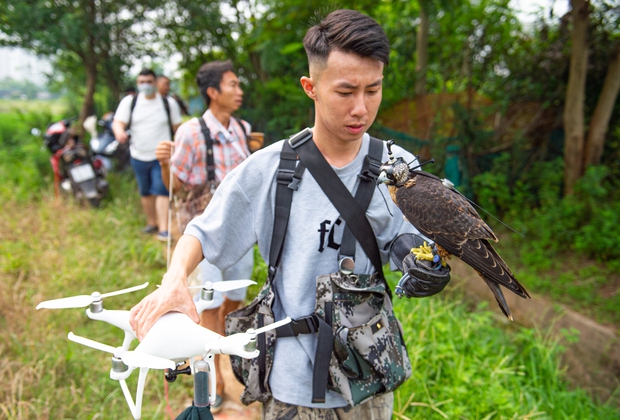 Ảnh, clip: Dùng flycam, định vị GPS để huấn luyện chim trinh sát trên không tại Hà Nội - Ảnh 2. Ảnh, clip: Dùng flycam, định vị GPS để huấn luyện chim trinh sát trên không tại Hà Nội - Ảnh 2.