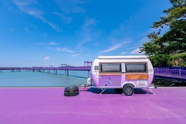 Hòn đảo kỳ lạ ở Hàn Quốc nơi tất tần tật mọi thứ đều ngập trong sắc tím, góc nào cũng đẹp long lanh - Ảnh 3. Hòn đảo kỳ lạ ở Hàn Quốc nơi tất tần tật mọi thứ đều ngập trong sắc tím, góc nào cũng đẹp long lanh - Ảnh 3.