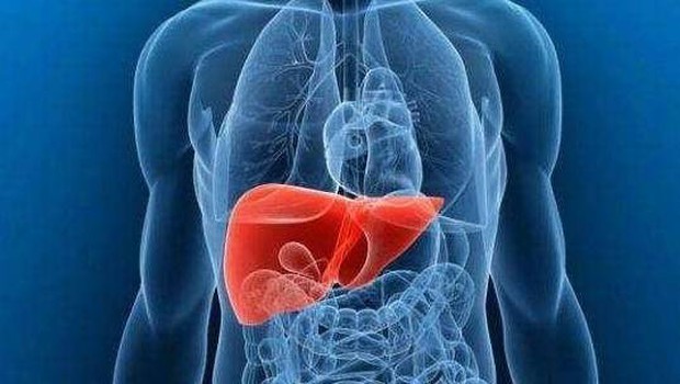 6 thực phẩm là bảo bối dưỡng gan, giúp lọc sạch và bồi bổ cho gan - Ảnh 1.