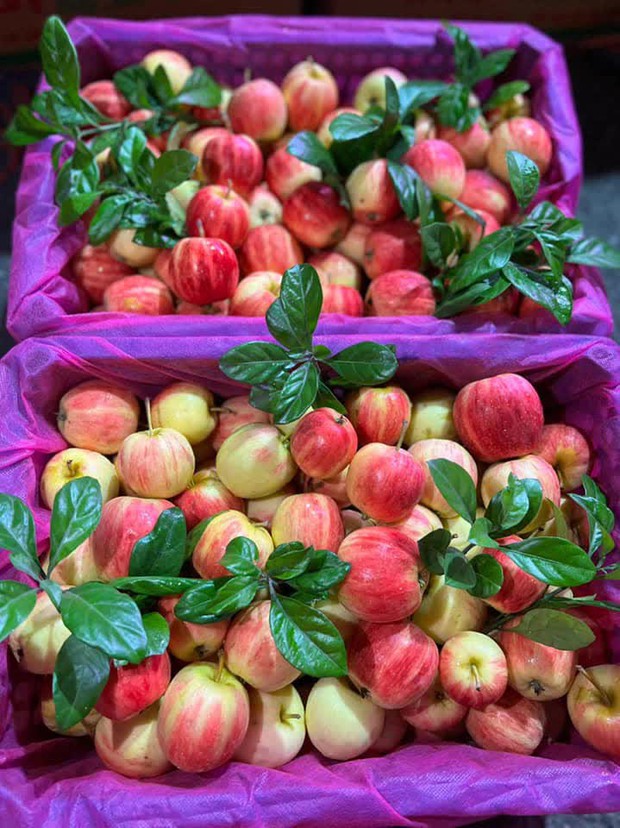 Bất ngờ với loại táo cherry được rao bán trên chợ mạng, giá rẻ chỉ 9 nghìn/kg - Ảnh 3.