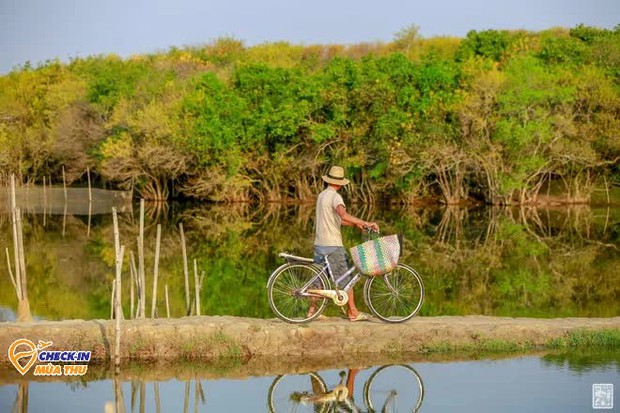 Ở Huế có một cánh rừng thuộc hệ cực quý hiếm còn sót lại ở Đông Nam Á - Ảnh 5.