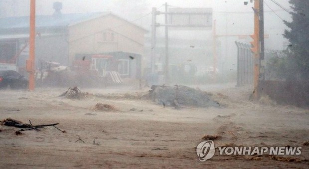 Hàn Quốc: 7 người chết thảm vì xuống hầm đậu xe đúng lúc mưa bão - Ảnh 12.