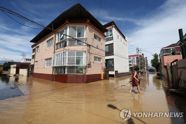 Hàn Quốc: 7 người chết thảm vì xuống hầm đậu xe đúng lúc mưa bão - Ảnh 14.