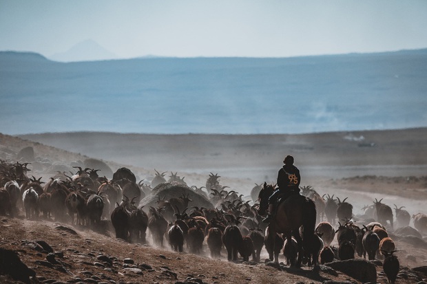 Du khách Việt theo chân người du mục trên thảo nguyên Mông Cổ - Ảnh 19.