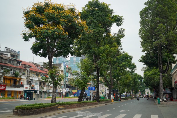 Có một TP.HCM rất khác trong sáng đầu năm 2023 - Ảnh 14. Có một TP.HCM rất khác trong sáng đầu năm 2023 - Ảnh 14.