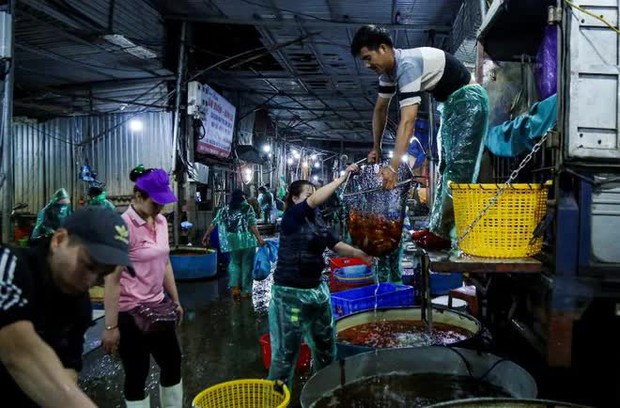 Chợ cá lớn nhất Hà Nội nhộn nhịp trước ngày đưa ông Công ông Táo về trời - Ảnh 2.