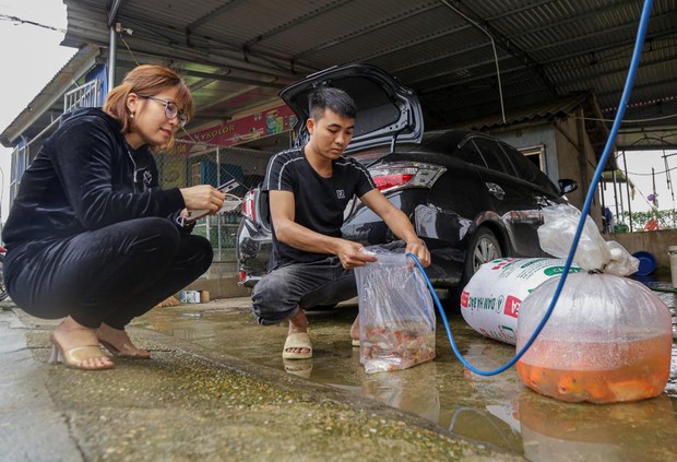 Người dân làng cá chép đỏ mỏi tay thu hoạch vì được mùa, trúng giá phục vụ Tết ông Công ông Táo - Ảnh 12.