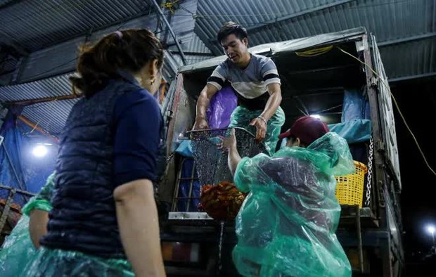 Chợ cá lớn nhất Hà Nội nhộn nhịp trước ngày đưa ông Công ông Táo về trời - Ảnh 7. Chợ cá lớn nhất Hà Nội nhộn nhịp trước ngày đưa ông Công ông Táo về trời - Ảnh 7.