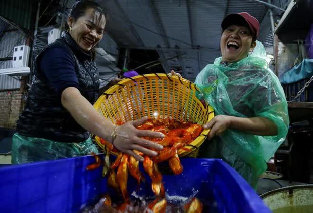 Chợ cá lớn nhất Hà Nội nhộn nhịp trước ngày đưa ông Công ông Táo về trời - Ảnh 6.