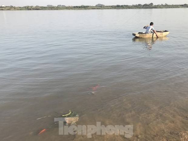 Hà Nội: Cúng ông Táo, 9 con cá chép vừa thả xuống sông bị thả lưới bắt lại 8 con - Ảnh 10.