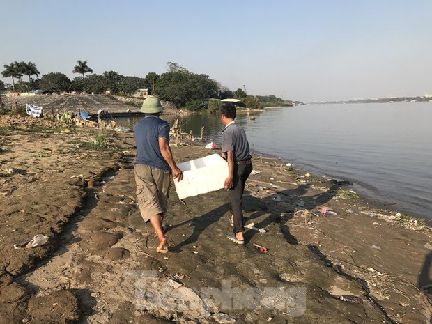 Hà Nội: Cúng ông Táo, 9 con cá chép vừa thả xuống sông bị thả lưới bắt lại 8 con - Ảnh 9. Hà Nội: Cúng ông Táo, 9 con cá chép vừa thả xuống sông bị thả lưới bắt lại 8 con - Ảnh 9.