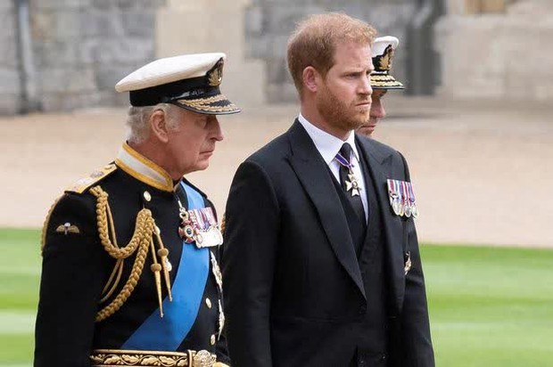 Phim tài liệu của Harry và Meghan bị phản pháo: Người dân càng thương William thì càng chán ghét nhà Sussex - Ảnh 2.