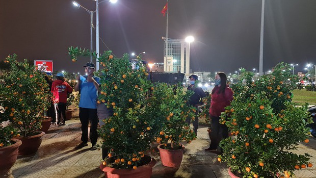 Đà Nẵng: Hoa sale sập sàn vẫn không ai mua - Ảnh 9. Đà Nẵng: Hoa sale sập sàn vẫn không ai mua - Ảnh 9.