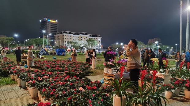 Đà Nẵng: Hoa sale sập sàn vẫn không ai mua - Ảnh 8.
