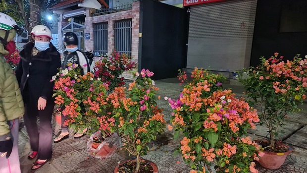 Đà Nẵng: Hoa sale sập sàn vẫn không ai mua - Ảnh 7.