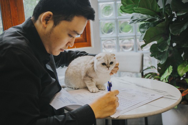 Hành trình gian khổ, kéo dài hàng chục năm để trở thành giám khảo mèo của chủ tịch hội con sen Việt Nam - Ảnh 4.