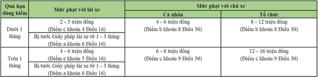 Dính phạt nguội bao lâu thì ô tô bị cảnh báo đăng kiểm và quá hạn đăng kiểm thì bị xử lý ra sao? - Ảnh 2.