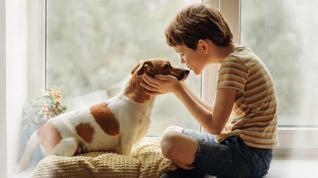 Khi trẻ em hành hạ động vật: Biểu hiện tâm lý cần quan tâm nhưng đa phần bị phụ huynh bỏ qua - Ảnh 4.
