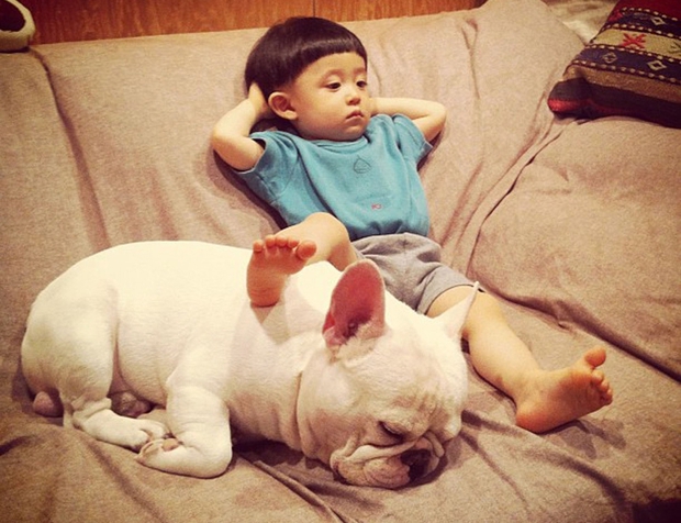 Mẹ ơi, con nhớ mèo - cách đơn giản nhất để giáo dục nên một đứa trẻ nhân từ là biết yêu thương động vật - Ảnh 1. Mẹ ơi, con nhớ mèo - cách đơn giản nhất để giáo dục nên một đứa trẻ nhân từ là biết yêu thương động vật - Ảnh 1.