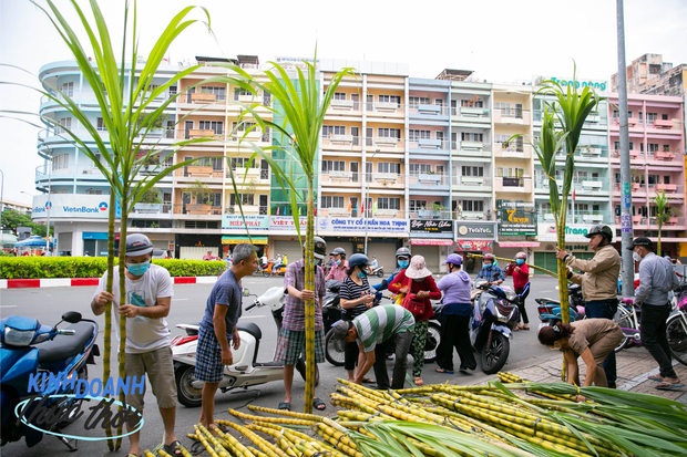 Kiếm hàng chục triệu chưa đầy 24 giờ nhờ phong tục mua mía vàng cúng vía Trời ở Sài Gòn - Ảnh 2.