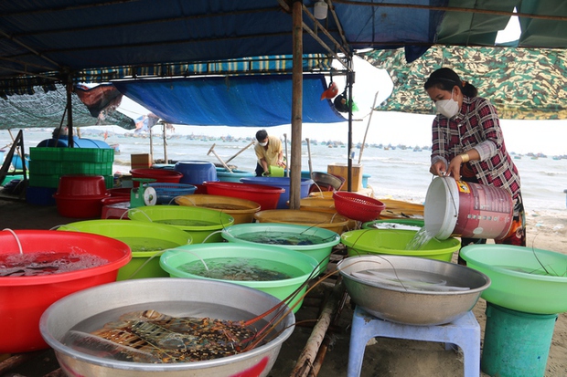 Cân điêu hải sản ở Mũi Né, địa phương đề nghị tháo dỡ lều quán - Ảnh 2.