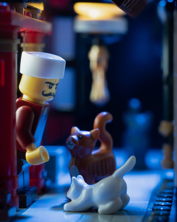 Nhiếp ảnh gia cho Lego: Công việc trong mơ với những người đam mê trò chơi xếp hình đầy sáng tạo - Ảnh 12.