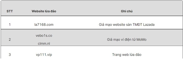 Cảnh giác với những trang web giả mạo để đánh cắp tài khoản - Ảnh 2.