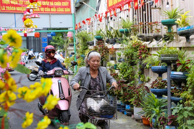 Ảnh: Người dân TP.HCM chung tay trang trí Tết trong những con hẻm nhỏ nơi mình sinh sống - Ảnh 15.