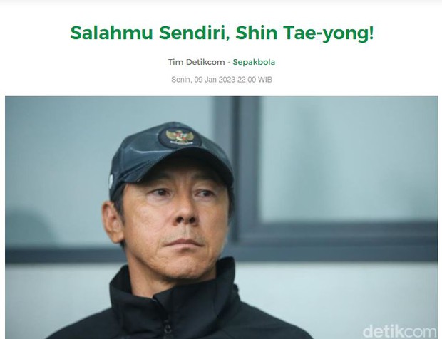 Báo Indonesia chỉ trích lỗi tại ông, Shin Tae Yong - Ảnh 1.