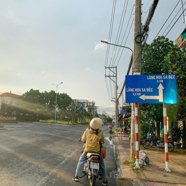 Làng hoa Sa Đéc rực rỡ đón Tết, nhiều người rục rịch lên kế hoạch đến “sống ảo” và ngắm muôn loài hoa - Ảnh 3.