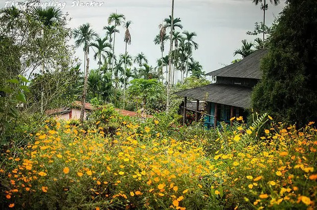 Ngôi làng được trao danh hiệu sạch nhất châu Á: Bói không ra cọng rác, nằm ở nơi ít người nghĩ tới - Ảnh 2.