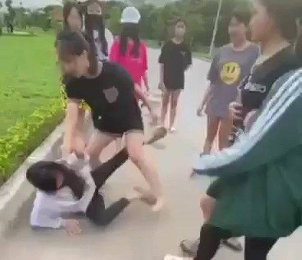 Nữ sinh ở Thanh Hóa bị đánh hội đồng ở công viên đông người - Ảnh 1.