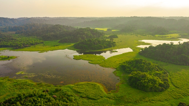 Tour đêm vào rừng xem thú hoang dã săn mồi cực ly kỳ tại VQG Cát Tiên, khách phải đặt trước cả tháng mới có chỗ - Ảnh 1.