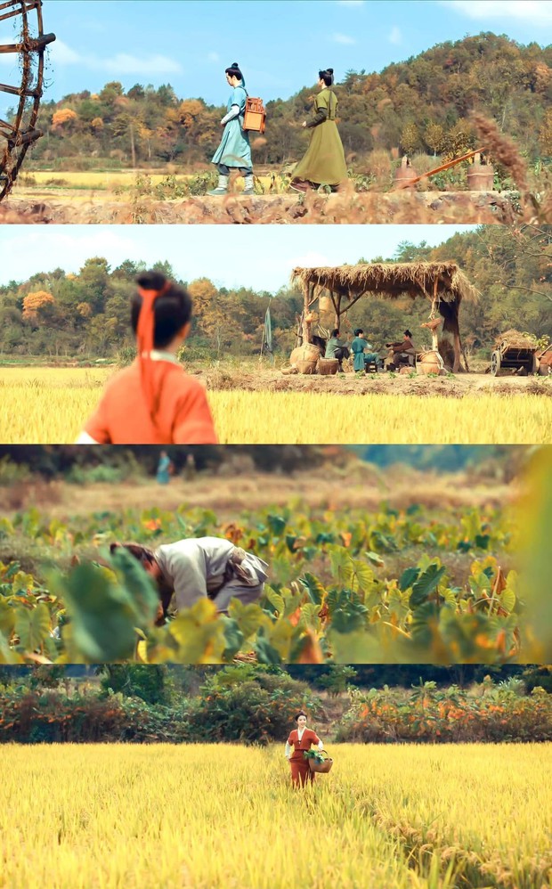 Phim Hoa ngữ mới lên sóng đã nhận mưa lời khen: Nữ chính xinh như búp bê, cảnh quay cực chill - Ảnh 7.