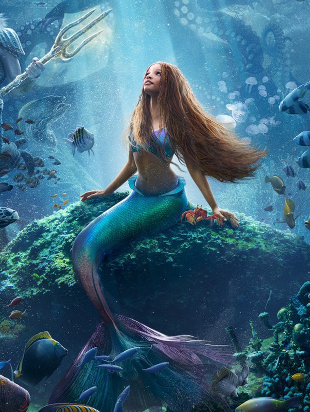 Halle Bailey - Nàng tiên cá có mang bụng to, đang mang bầu lúc 23 tuổi?