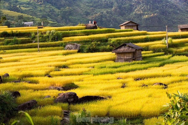 Những tọa độ check-in ruộng bậc thang đẹp nhất Hà Giang - Ảnh 9.