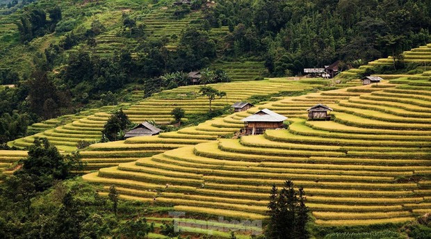 Những tọa độ check-in ruộng bậc thang đẹp nhất Hà Giang - Ảnh 4.