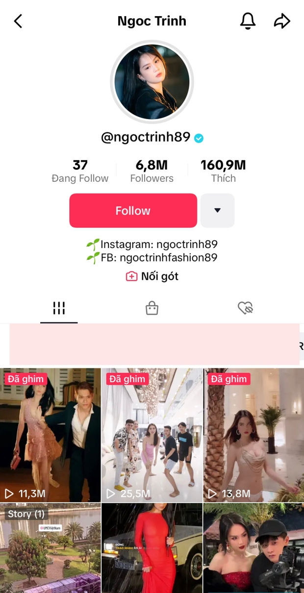 Ngọc Trinh có thái độ thế nào trước khi bị bắt tạm giam? - Ảnh 7.