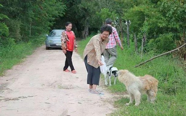 Chú chó đợi chủ suốt 4 năm nhưng không chịu về nhà khi đoàn tụ: Sự thật phía sau lấy nước mắt bao người - Ảnh 6. Chú chó đợi chủ suốt 4 năm nhưng không chịu về nhà khi đoàn tụ: Sự thật phía sau lấy nước mắt bao người - Ảnh 6.