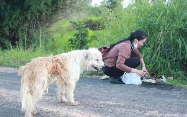 Chú chó đợi chủ suốt 4 năm nhưng không chịu về nhà khi đoàn tụ: Sự thật phía sau lấy nước mắt bao người - Ảnh 5. Chú chó đợi chủ suốt 4 năm nhưng không chịu về nhà khi đoàn tụ: Sự thật phía sau lấy nước mắt bao người - Ảnh 5.